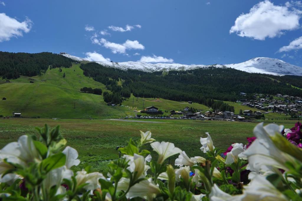 Hotel Baita Della Luna Ливиньо Екстериор снимка